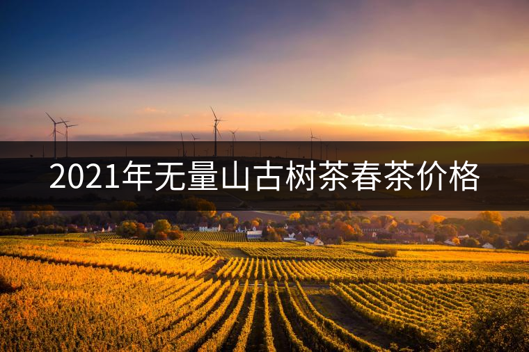 2021年無(wú)量山古樹(shù)茶春茶價(jià)格 2021年無(wú)量山古樹(shù)茶春茶價(jià)格
