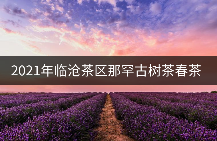 2021年臨滄茶區(qū)那罕古樹茶春茶多少錢一公斤? 2021年臨滄茶區(qū)那罕古樹茶春茶多少錢一公斤?