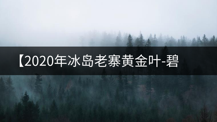 【2020年冰島老寨黃金葉-碧波蕩漾一抹香，輕啜半盞甘若露。