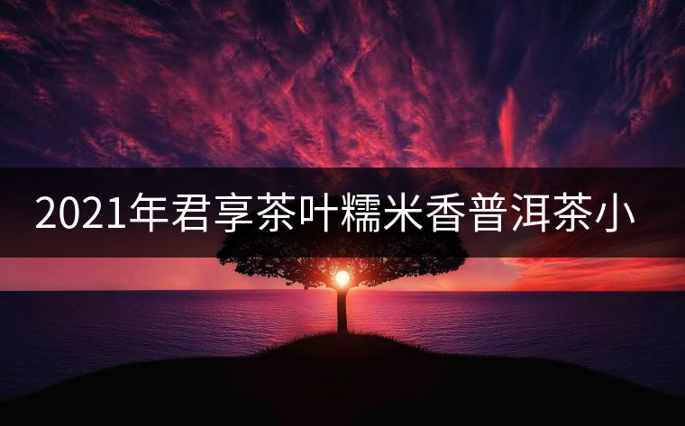 2021年君享茶葉糯米香普洱茶小沱茶餅口感好嗎？