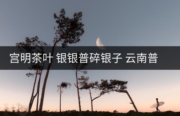 宮明茶葉 銀銀普碎銀子 云南普洱茶熟茶易武古樹(shù)糯米香老茶頭好喝嗎？