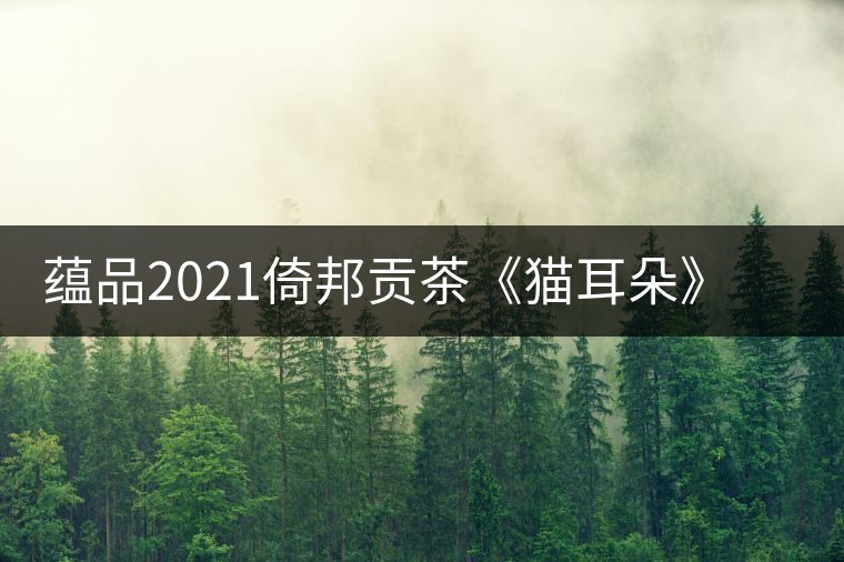 蘊品2021倚邦貢茶《貓耳朵》古樹普洱茶生茶好喝嗎？