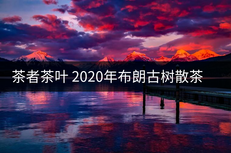 茶者茶葉 2020年布朗古樹散茶  性價比怎么樣？