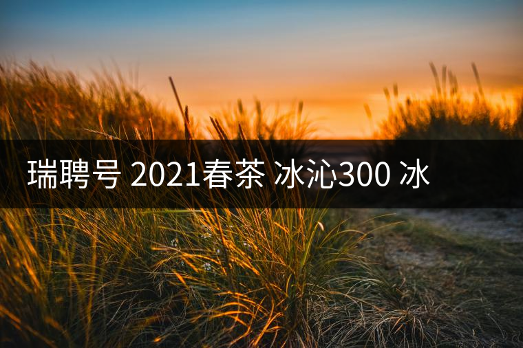 瑞聘號 2021春茶 冰沁300 冰島頭春古樹茶好喝嗎？