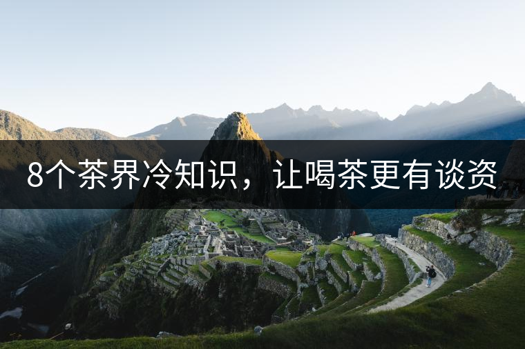 8個茶界冷知識，讓喝茶更有談資！