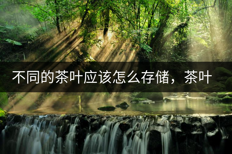 不同的茶葉應(yīng)該怎么存儲(chǔ)，茶葉罐又該如何選擇？