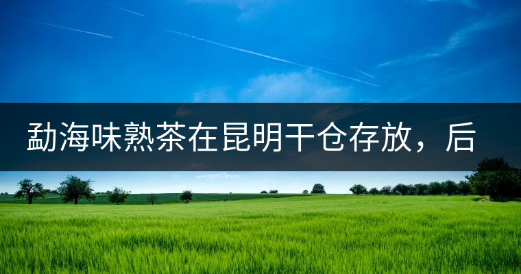 勐海味熟茶在昆明干倉(cāng)存放，后期轉(zhuǎn)化如何呢？