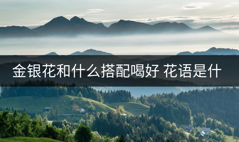 金銀花和什么搭配喝好 花語(yǔ)是什么 金銀花和什么搭配喝好 花語(yǔ)是什么