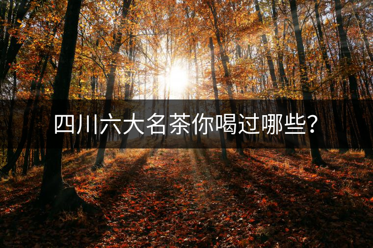 四川六大名茶你喝過哪些？