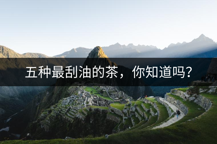 五種最刮油的茶，你知道嗎？