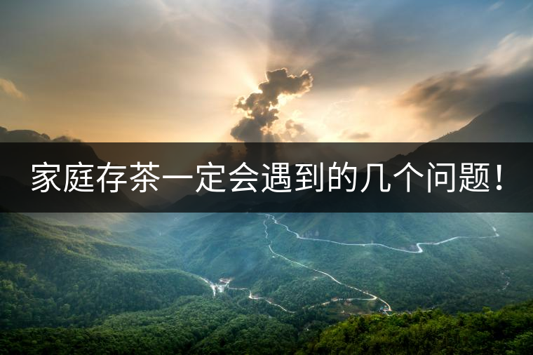 家庭存茶一定會(huì)遇到的幾個(gè)問(wèn)題！