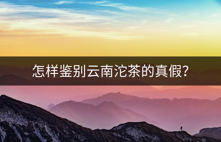 怎樣鑒別云南沱茶的真假？