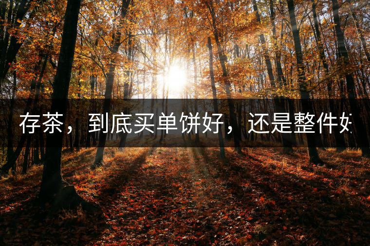 存茶，到底買單餅好，還是整件好？