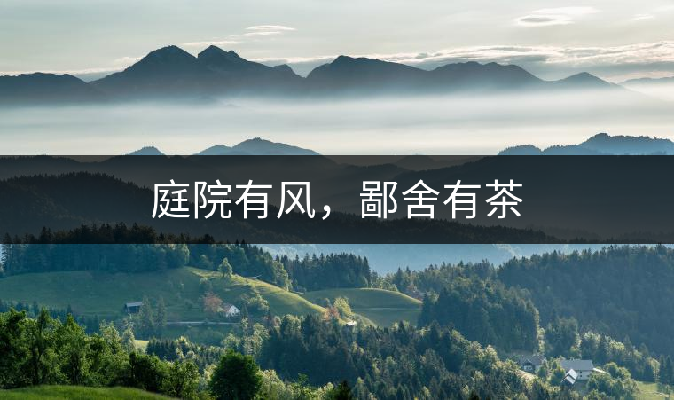 庭院有風(fēng)，鄙舍有茶
