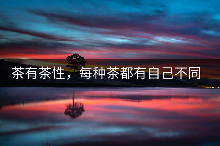 茶有茶性，每種茶都有自己不同的正確泡法