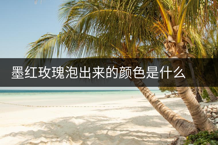 墨紅玫瑰泡出來的顏色是什么 可以天天喝嗎 墨紅玫瑰泡出來的顏色是什么 可以天天喝嗎