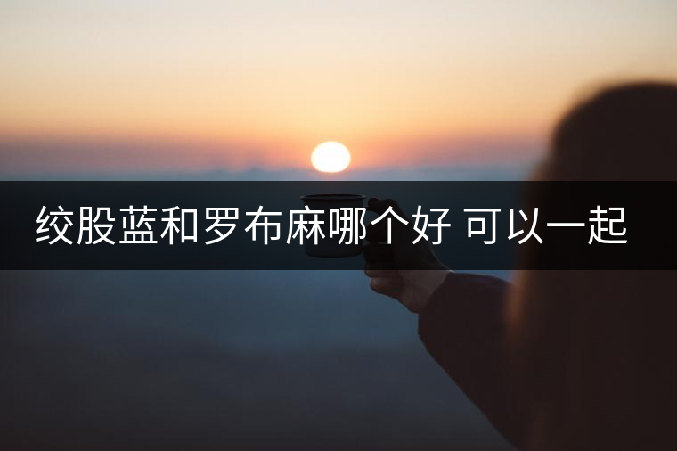 絞股藍(lán)和羅布麻哪個(gè)好 可以一起泡水喝嗎 絞股藍(lán)和羅布麻哪個(gè)好 可以一起泡水喝嗎