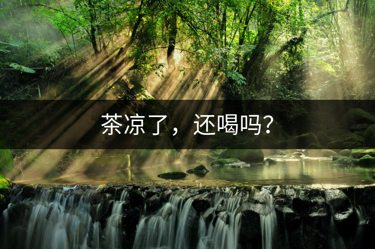 茶涼了，還喝嗎？