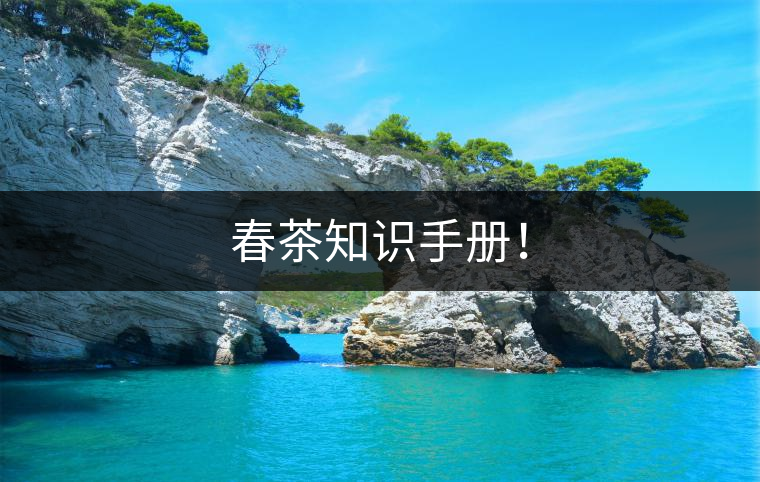 春茶知識(shí)手冊(cè)！
