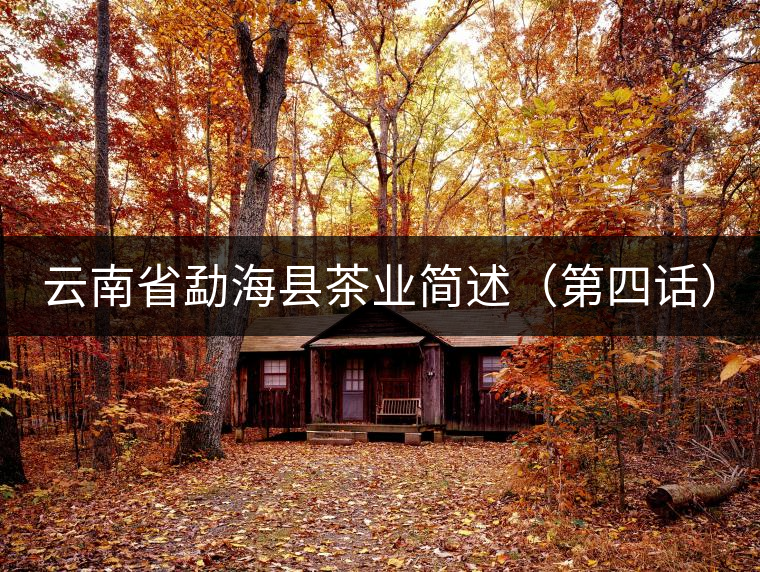 云南省勐海縣茶業(yè)簡(jiǎn)述(第四話) 云南省勐??h茶業(yè)簡(jiǎn)述(第四話)