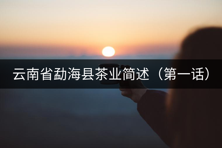 云南省勐?？h茶業(yè)簡(jiǎn)述（第一話）