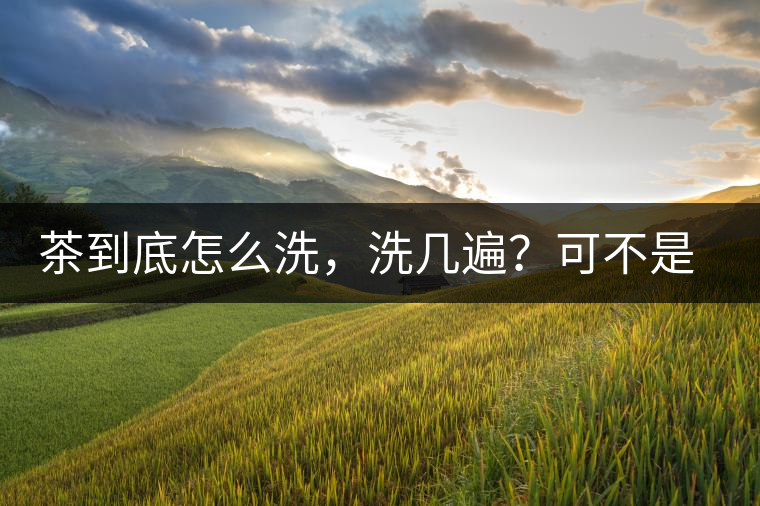 茶到底怎么洗，洗幾遍？可不是倒水進(jìn)去這么簡(jiǎn)單喲