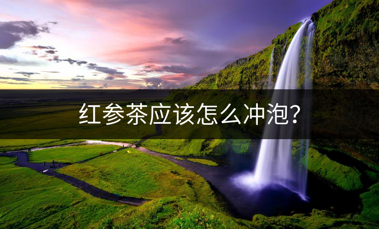 紅參茶應(yīng)該怎么沖泡？