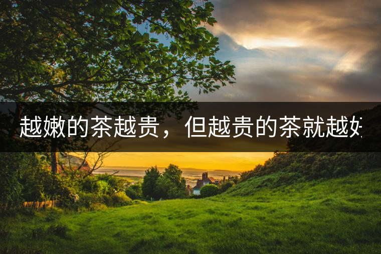 越嫩的茶越貴，但越貴的茶就越好嗎？