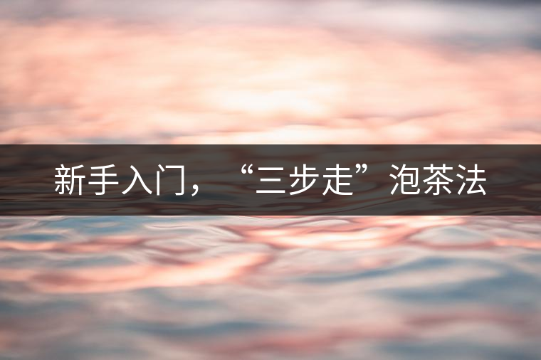 新手入門，“三步走”泡茶法