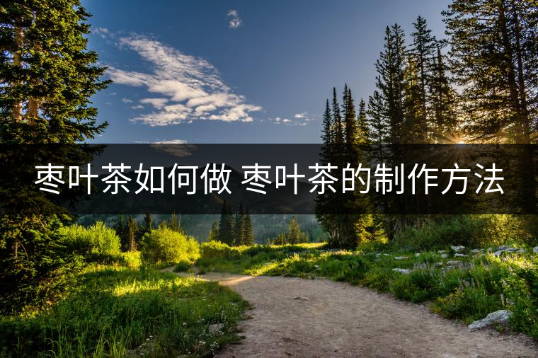 棗葉茶如何做 棗葉茶的制作方法 棗葉茶如何做 棗葉茶的制作方法