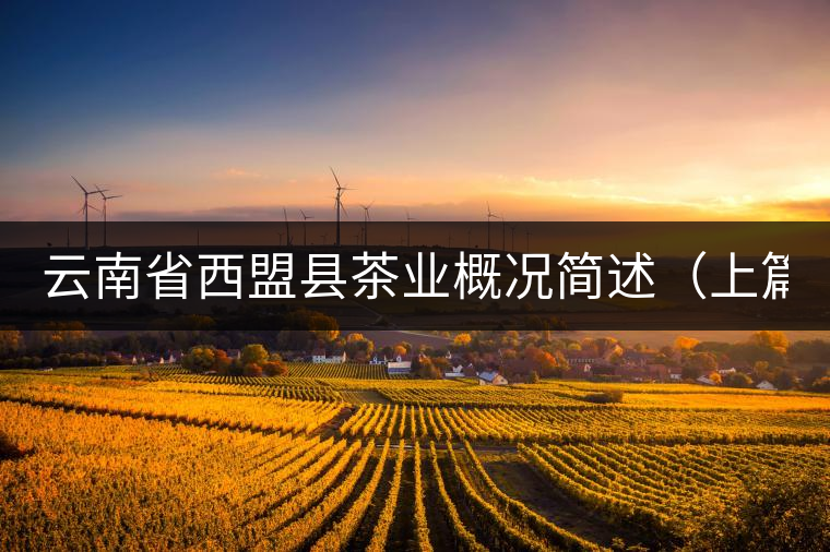 云南省西盟縣茶業(yè)概況簡(jiǎn)述(上篇) 云南省西盟縣茶業(yè)概況簡(jiǎn)述(上篇)