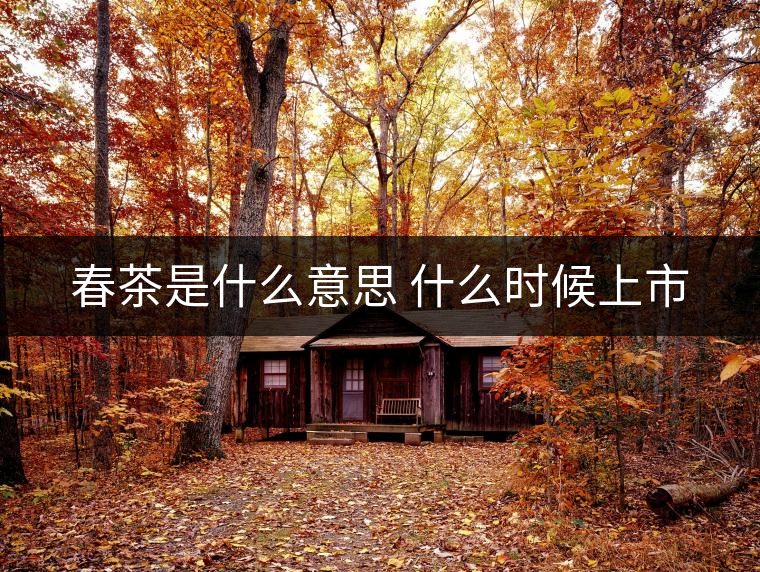 春茶是什么意思 什么時(shí)候上市