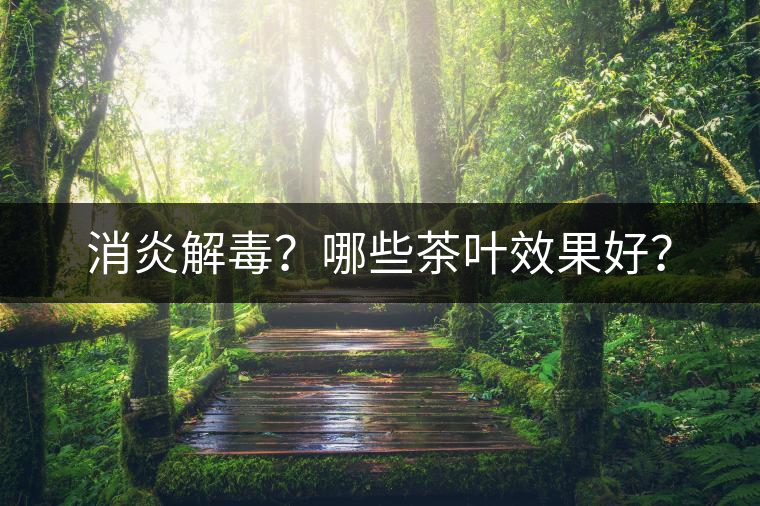 消炎解毒？哪些茶葉效果好？