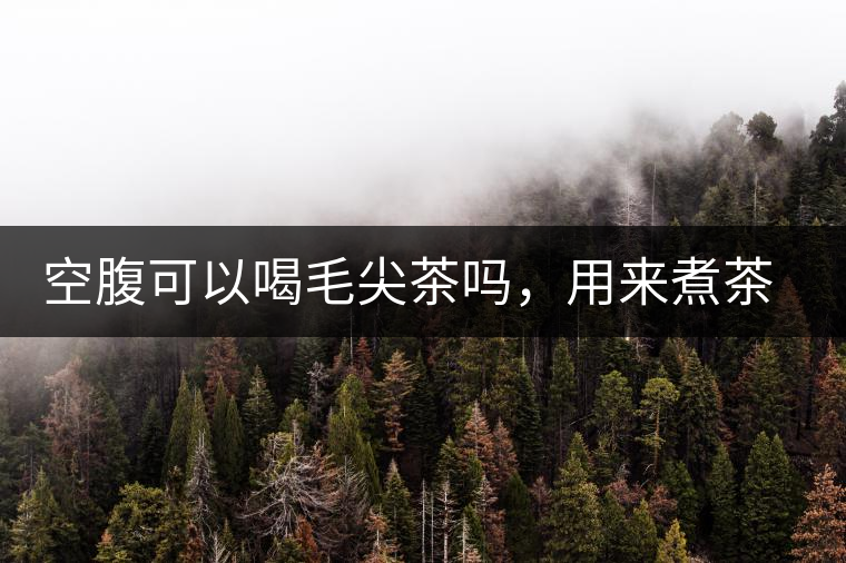 空腹可以喝毛尖茶嗎，用來煮茶葉蛋怎么樣？
