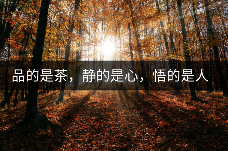 品的是茶，靜的是心，悟的是人生，滌的是靈魂