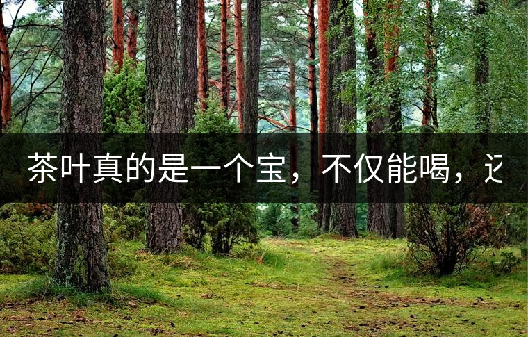 茶葉真的是一個寶，不僅能喝，還能用！