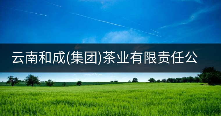 云南和成(集團)茶業(yè)有限責(zé)任公司