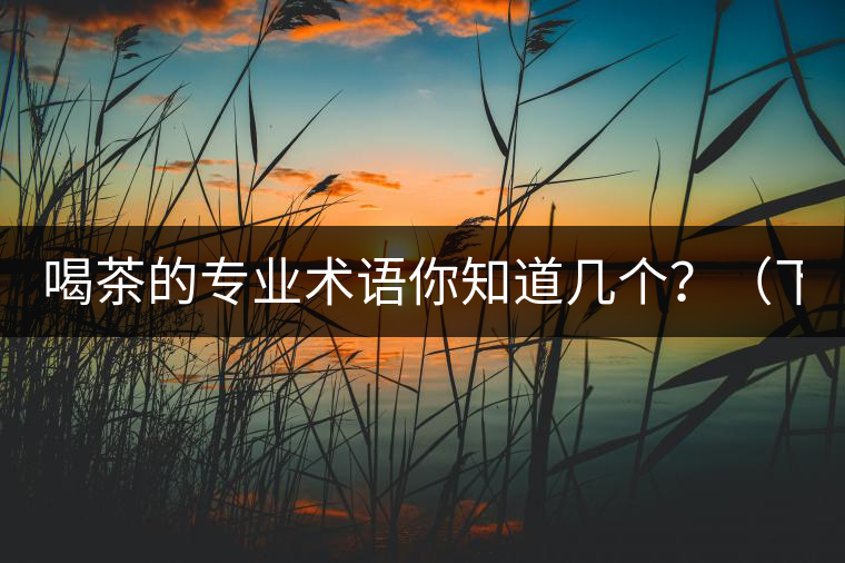 喝茶的專業(yè)術(shù)語(yǔ)你知道幾個(gè)？（下篇）