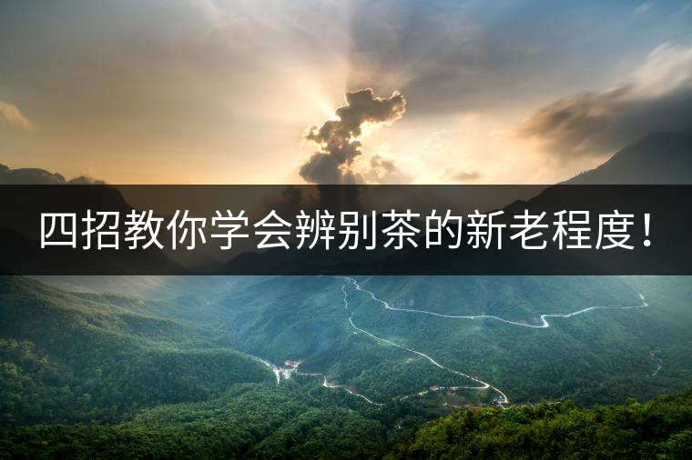 四招教你學會辨別茶的新老程度！