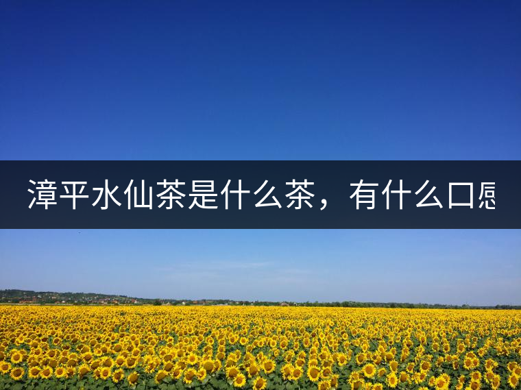漳平水仙茶是什么茶，有什么口感特點(diǎn)！