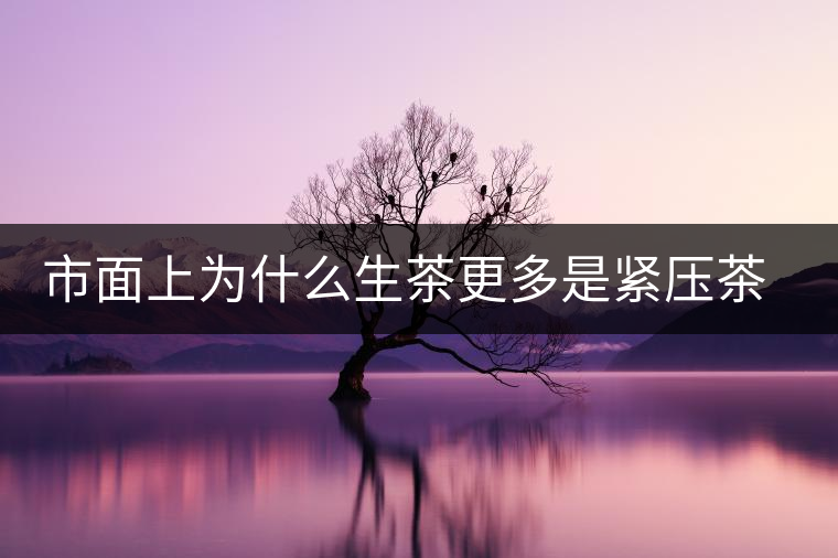 市面上為什么生茶更多是緊壓茶而非散茶？