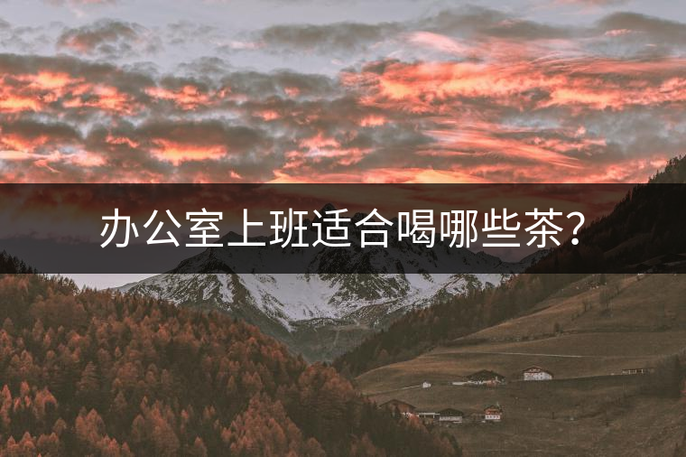 辦公室上班適合喝哪些茶？