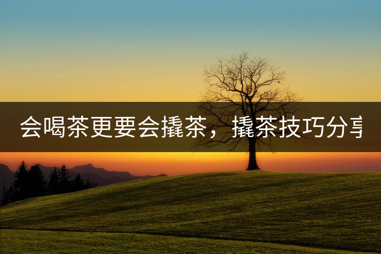 會喝茶更要會撬茶，撬茶技巧分享！