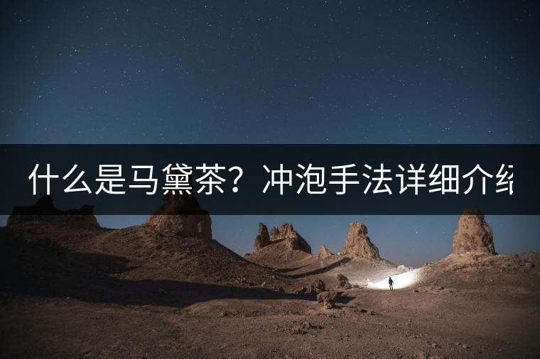 什么是馬黛茶？沖泡手法詳細(xì)介紹！