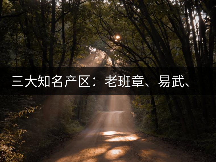 三大知名產(chǎn)區(qū)：老班章、易武、景邁三大茶系都有哪些特點！