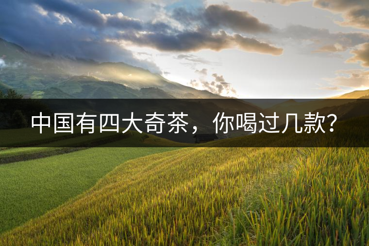 中國有四大奇茶，你喝過幾款？