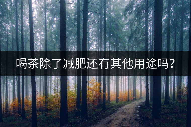 喝茶除了減肥還有其他用途嗎？
