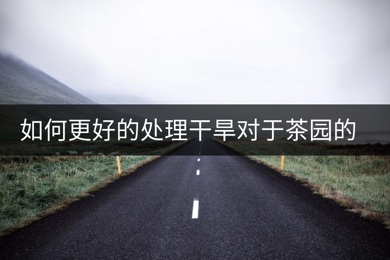 如何更好的處理干旱對于茶園的影響？