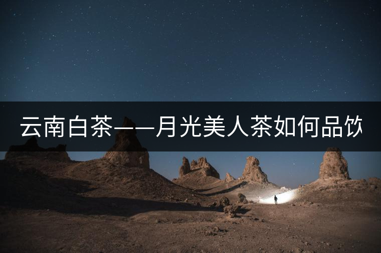 云南白茶——月光美人茶如何品飲？