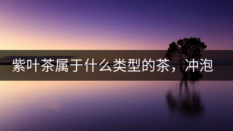 紫葉茶屬于什么類型的茶，沖泡需要注意什么？